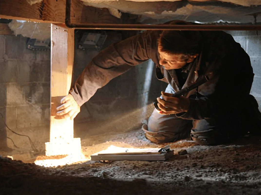 A professional inspecting wooden beams under the floor of a structure in Philadelphia, PA